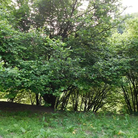 L'ecole Est Finie 6 Personnes 4pieces *