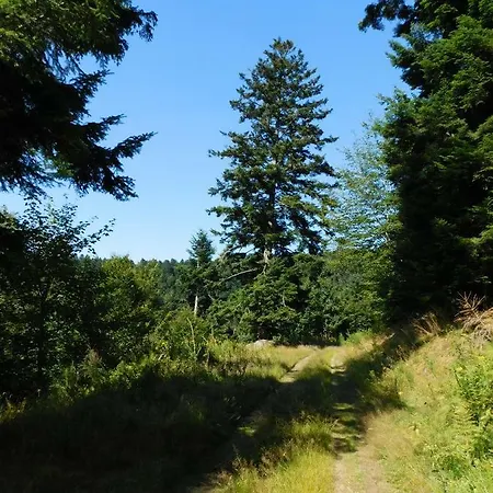 L'ecole Est Finie 6 Personnes 4pieces