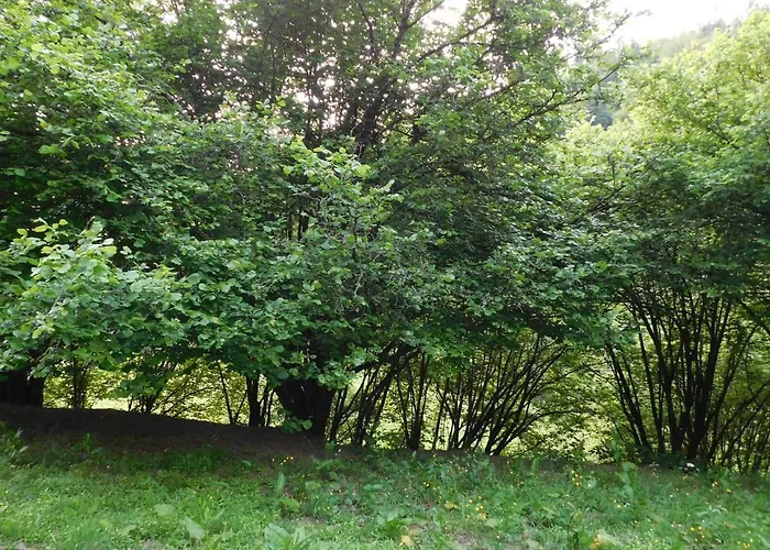 L'ecole Est Finie 6 Personnes 4pieces *