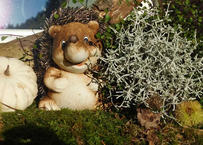 L'ecole Est Finie 6 Personnes 4pieces